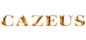 CaZeus logo